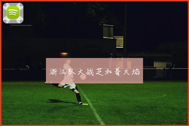 浙江队大战芝加哥火焰