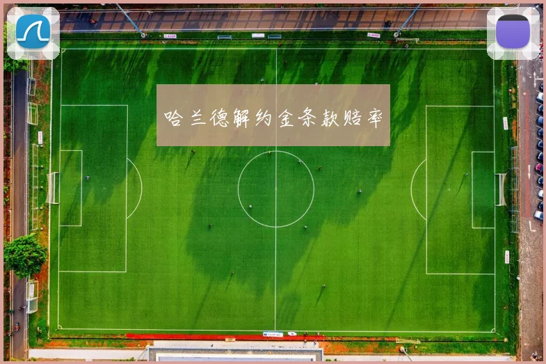 哈兰德解约金条款赔率