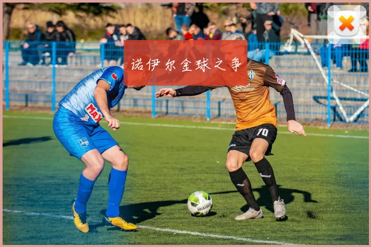 诺伊尔金球之争