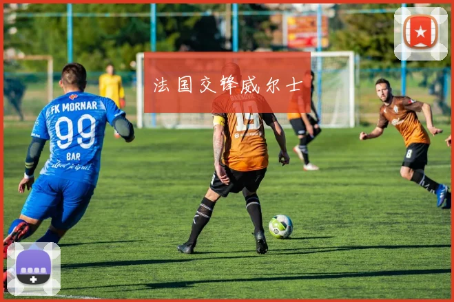 法国交锋威尔士