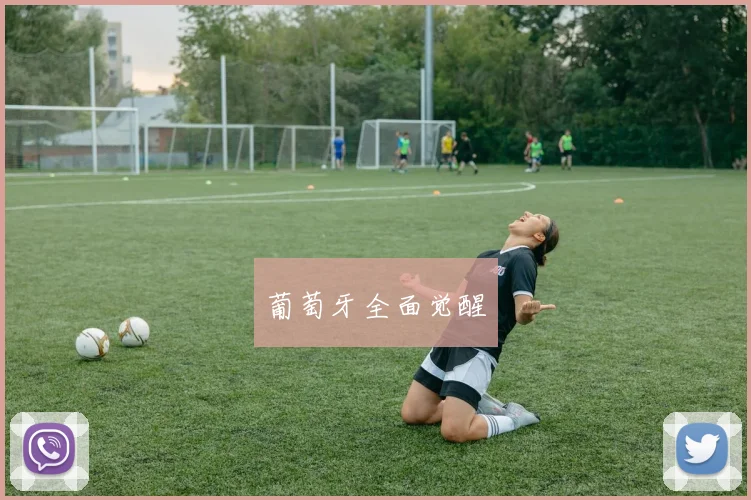 葡萄牙全面觉醒