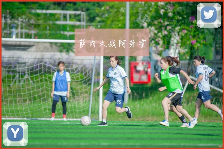 萨内大战阿劳霍