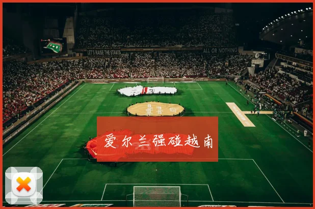 爱尔兰强碰越南
