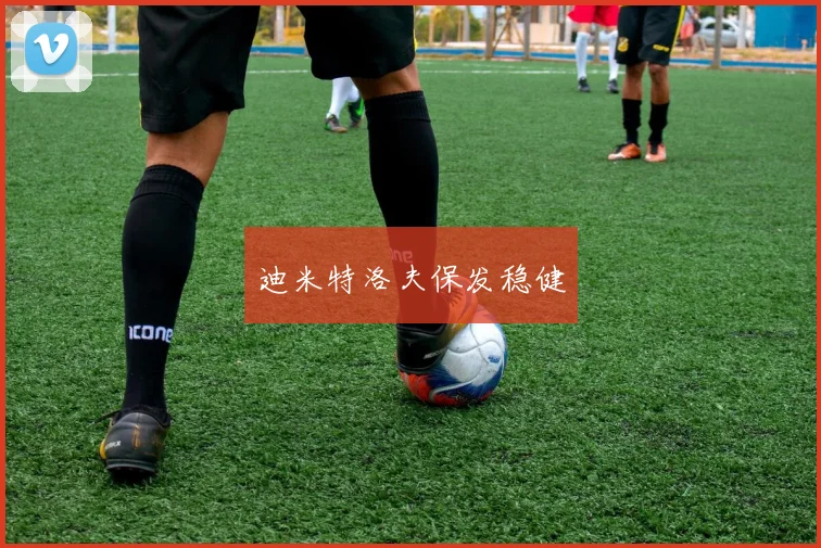 迪米特洛夫保发稳健