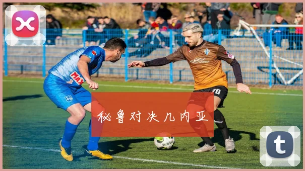秘鲁对决几内亚