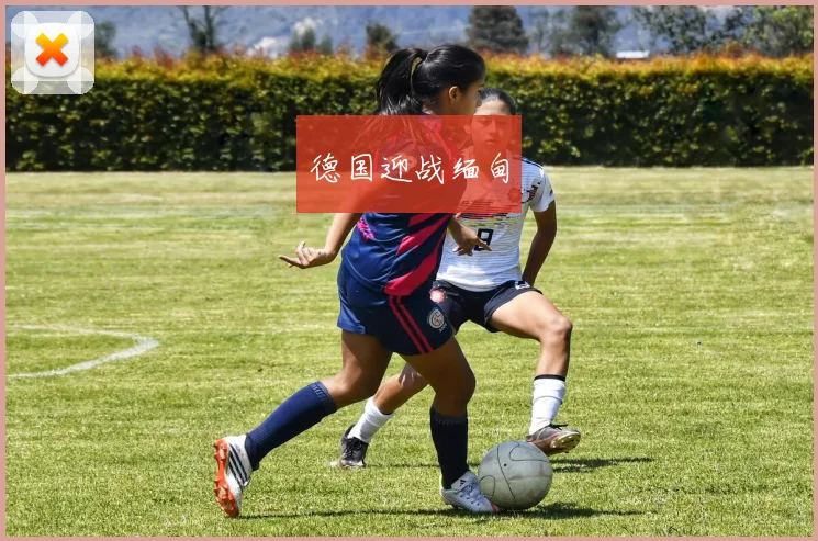 德国迎战缅甸