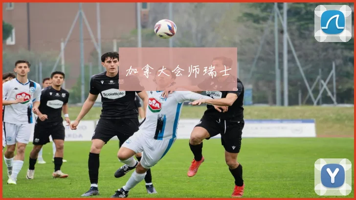 加拿大会师瑞士