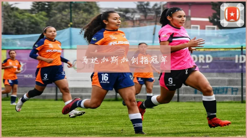 马达加斯加剑指冠军