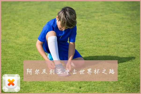 阿尔及利亚冲击世界杯之路