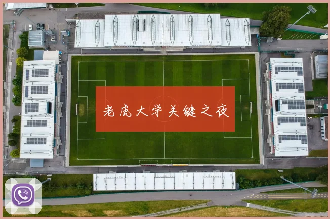 老虎大学关键之夜
