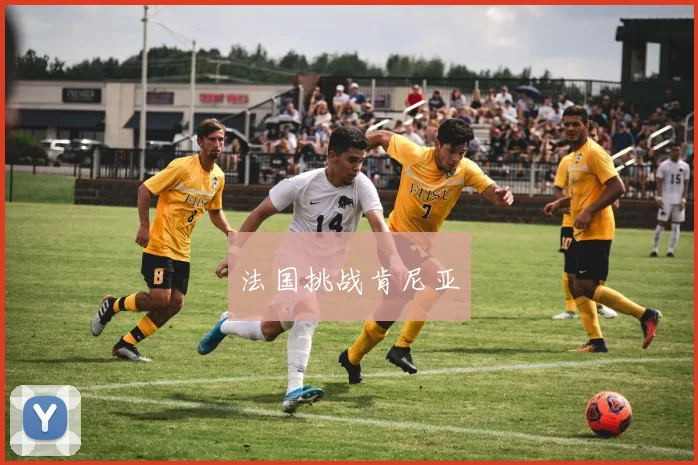 法国挑战肯尼亚