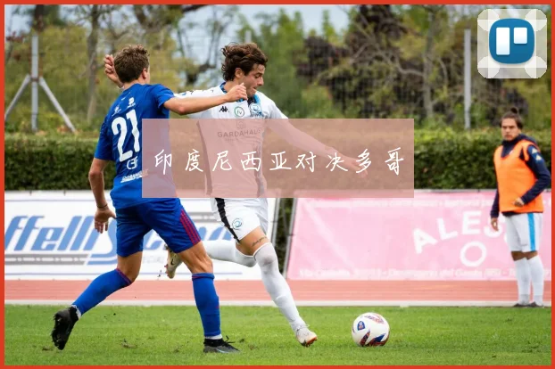 印度尼西亚对决多哥