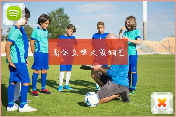 葡体交锋大阪钢巴
