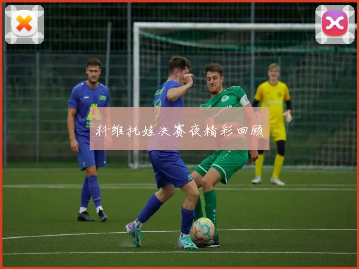 科维托娃决赛夜精彩回顾