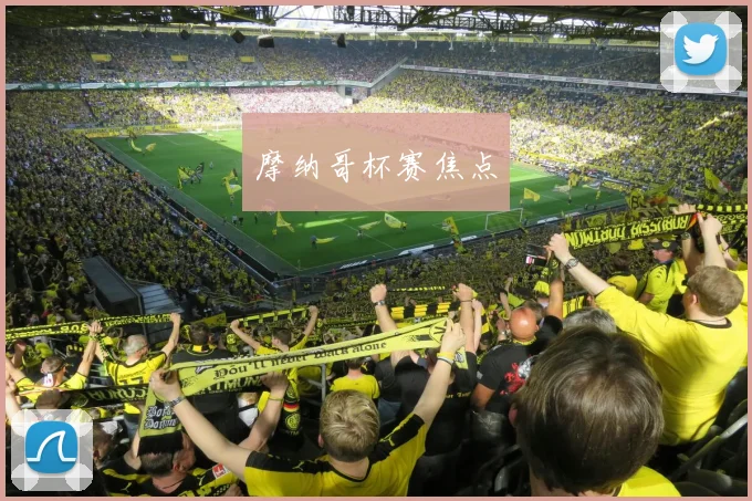 摩纳哥杯赛焦点