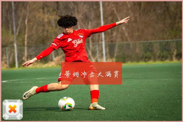 蒂姆冲击大满贯