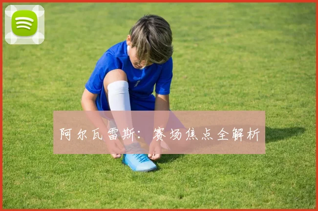 阿尔瓦雷斯：赛场焦点全解析