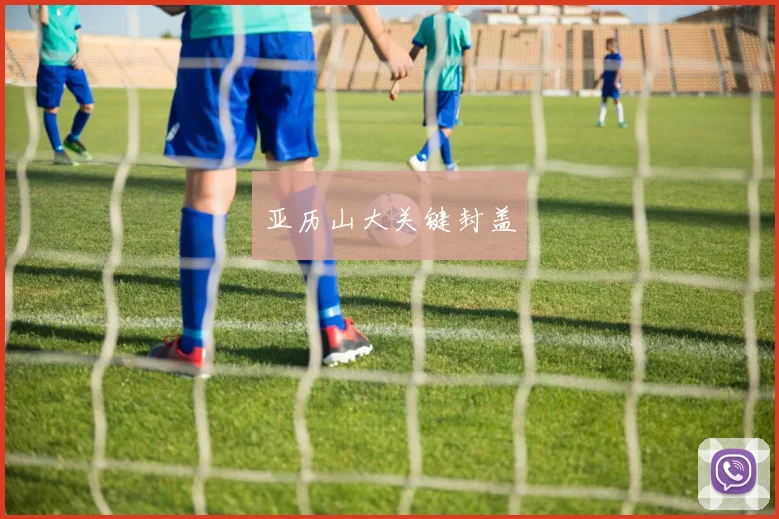 亚历山大关键封盖