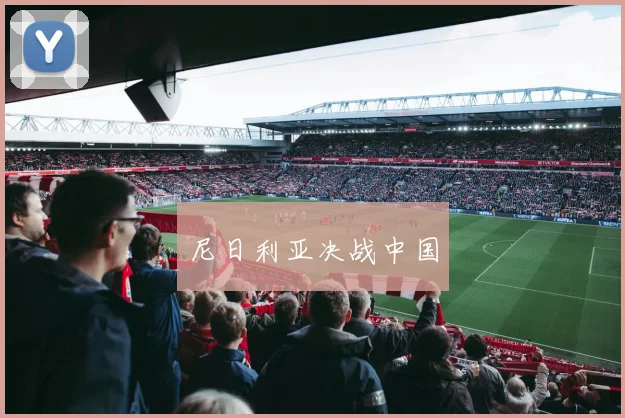 尼日利亚决战中国