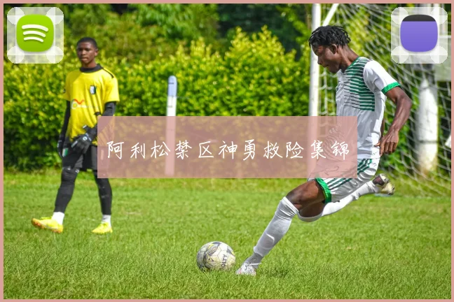阿利松禁区神勇救险集锦