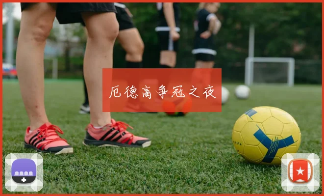 厄德高争冠之夜