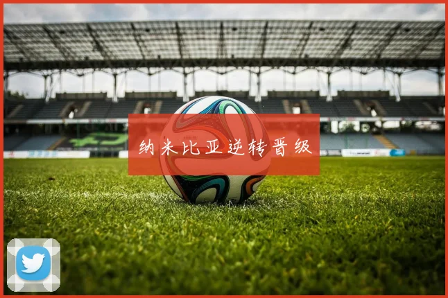 纳米比亚逆转晋级