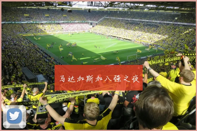 马达加斯加八强之夜