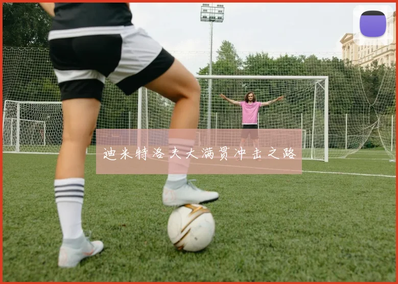 迪米特洛夫大满贯冲击之路