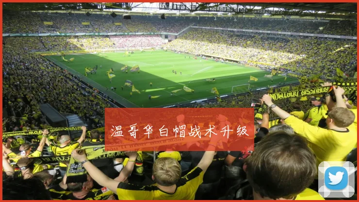 温哥华白帽战术升级