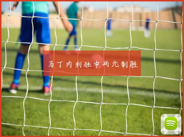 马丁内利独中两元制胜