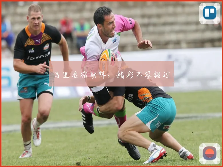 马里名宿助阵，精彩不容错过
