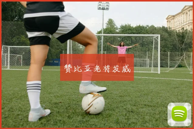 赞比亚老将发威