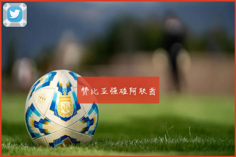 赞比亚强碰阿联酋
