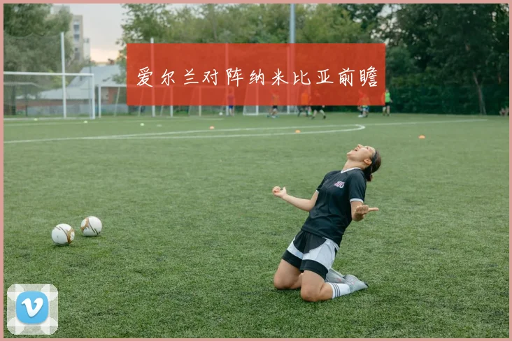 爱尔兰对阵纳米比亚前瞻