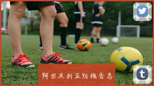 阿尔及利亚防线告急