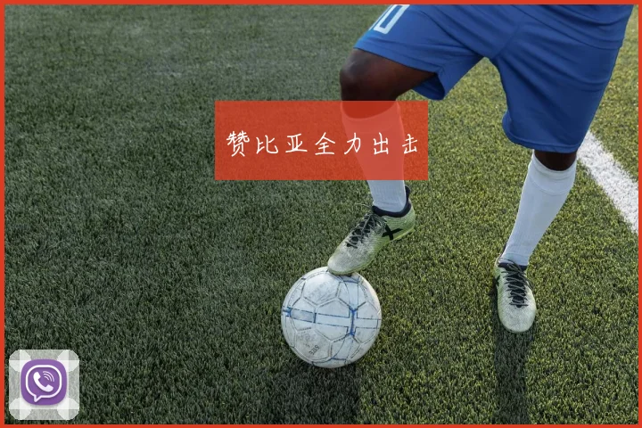 赞比亚全力出击