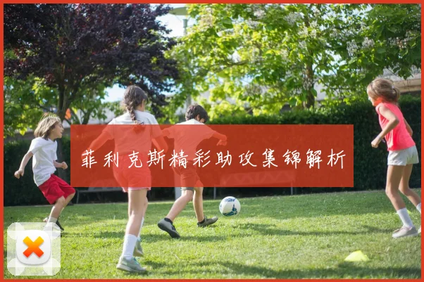 菲利克斯精彩助攻集锦解析