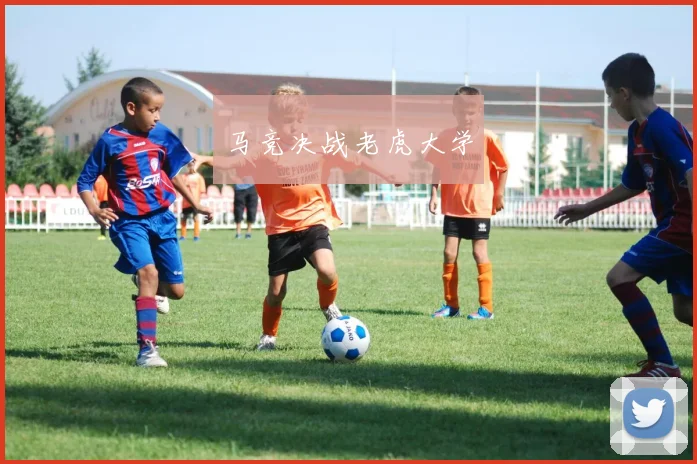 马竞决战老虎大学