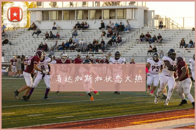 马达加斯加状态火热
