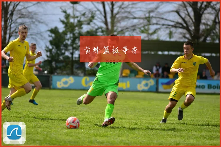 黄蜂篮板争夺