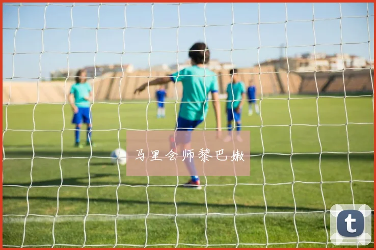 马里会师黎巴嫩