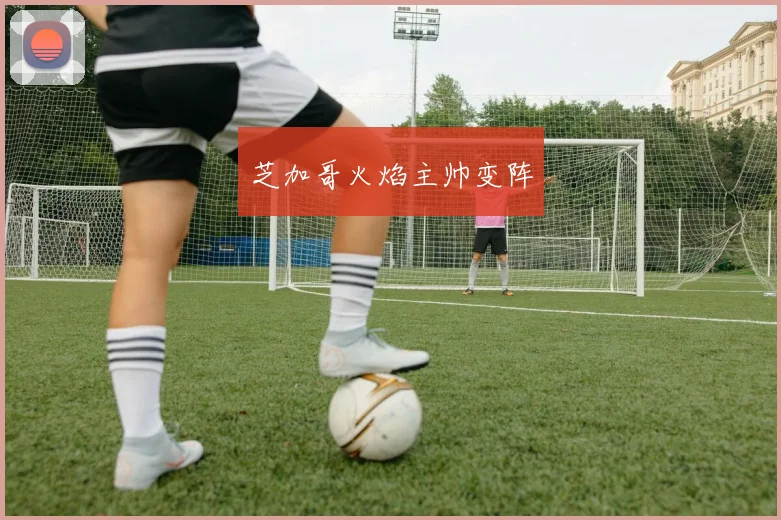 芝加哥火焰主帅变阵