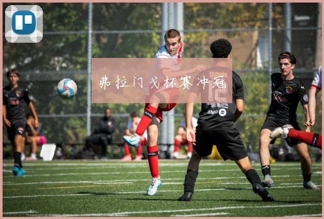 弗拉门戈杯赛冲冠