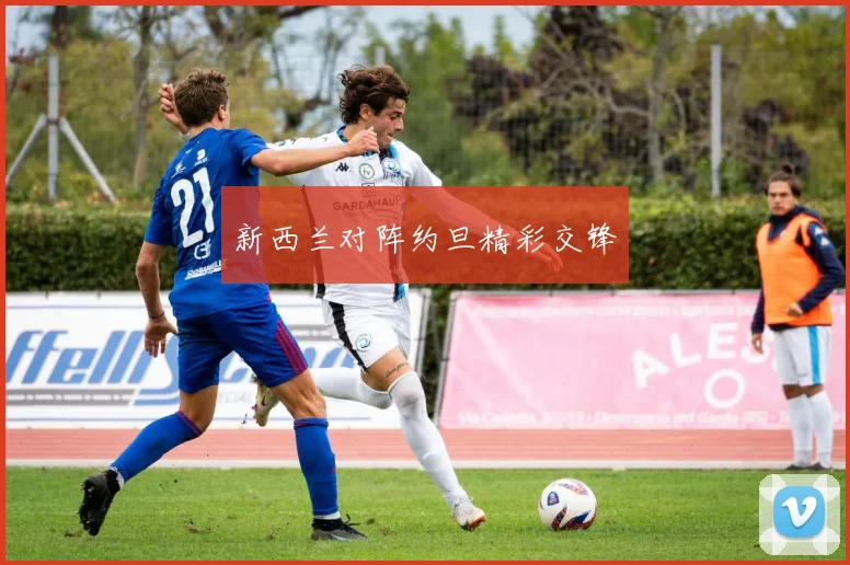 新西兰对阵约旦精彩交锋