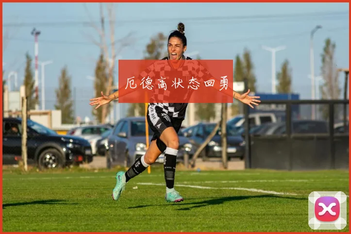 厄德高状态回勇