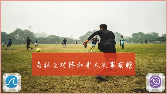 乌拉圭对阵加拿大决赛前瞻