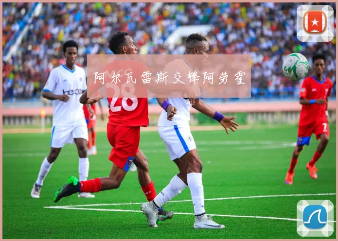 阿尔瓦雷斯交锋阿劳霍