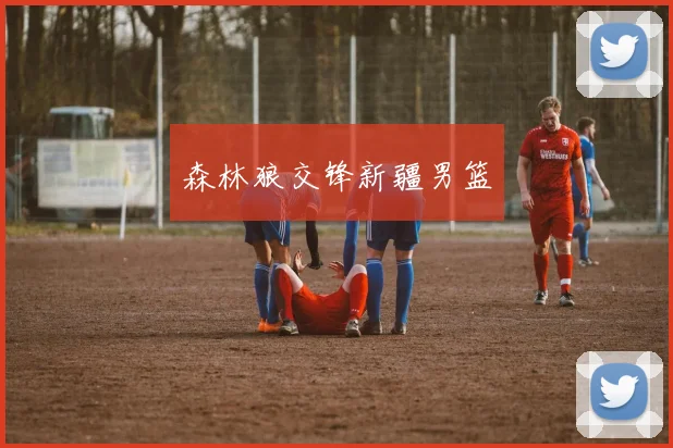 森林狼交锋新疆男篮