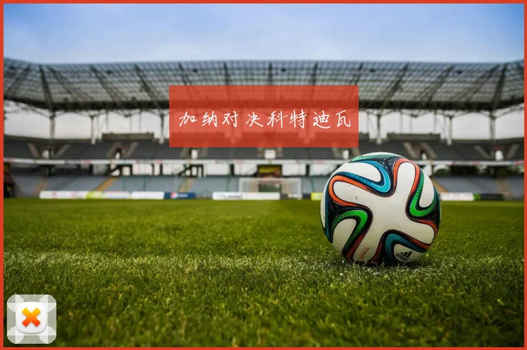 加纳对决科特迪瓦