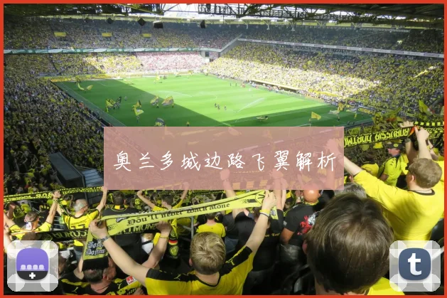 奥兰多城边路飞翼解析